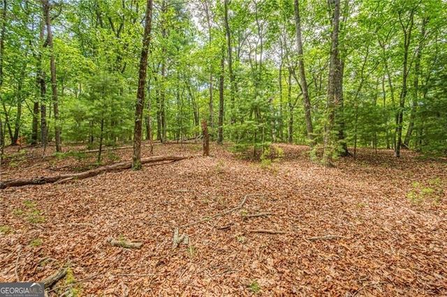 731 Jim Anderson Road, Dahlonega, GA 30533