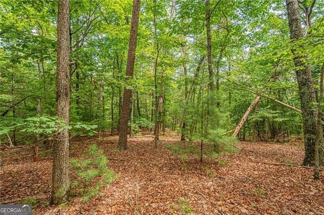 731 Jim Anderson Road, Dahlonega, GA 30533