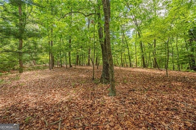 731 Jim Anderson Road, Dahlonega, GA 30533
