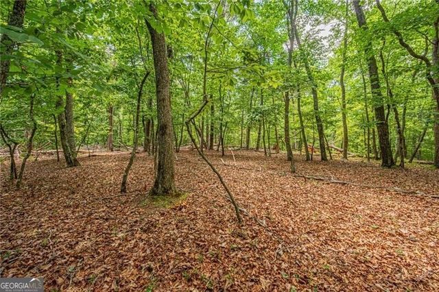 731 Jim Anderson Road, Dahlonega, GA 30533