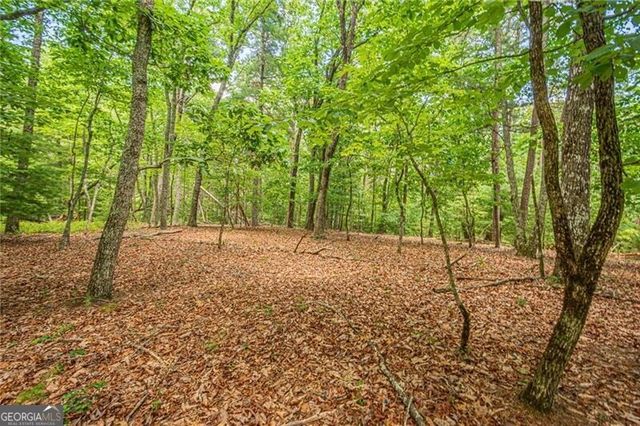 731 Jim Anderson Road, Dahlonega, GA 30533