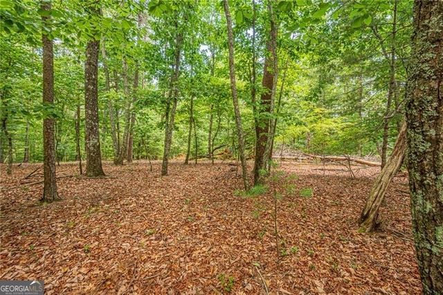 731 Jim Anderson Road, Dahlonega, GA 30533