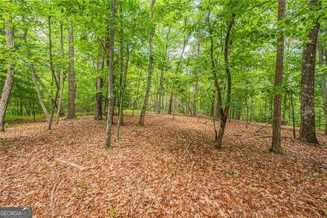 731 Jim Anderson Road, Dahlonega, GA 30533
