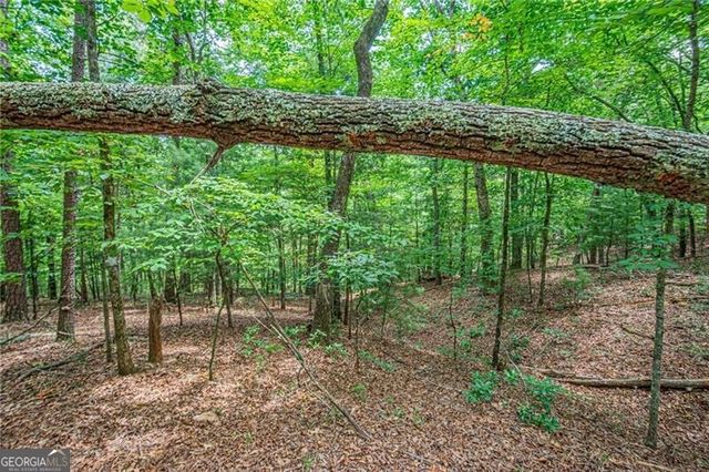 731 Jim Anderson Road, Dahlonega, GA 30533