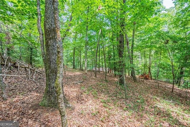 731 Jim Anderson Road, Dahlonega, GA 30533