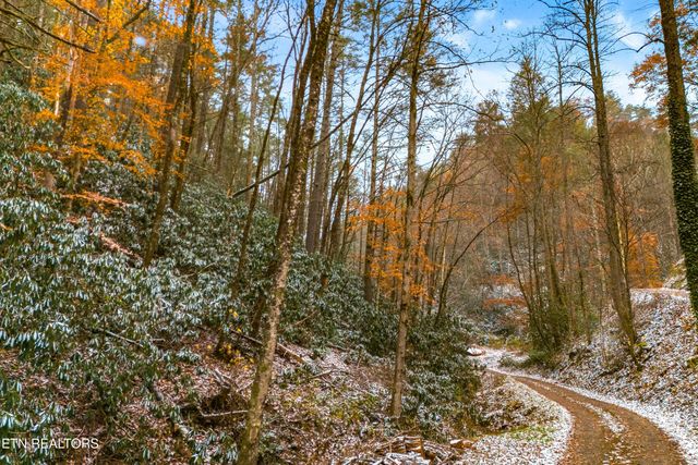 Old 15Th Rd, Hartford, TN 37753