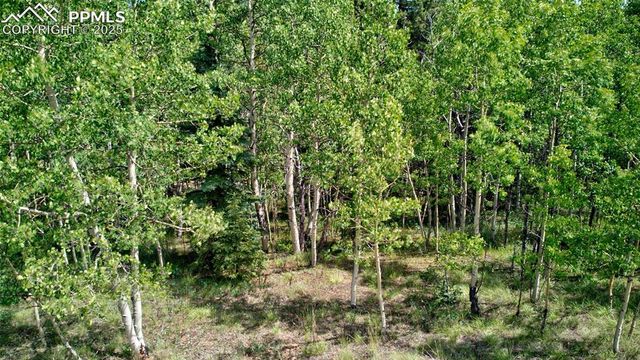 158 Rattler Court, Cripple Creek, CO 80813