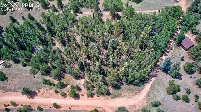 158 Rattler Court, Cripple Creek, CO 80813