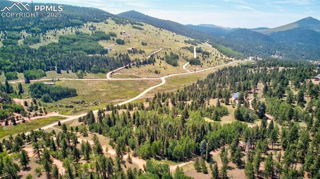 158 Rattler Court, Cripple Creek, CO 80813