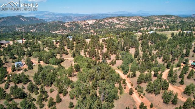 158 Rattler Court, Cripple Creek, CO 80813