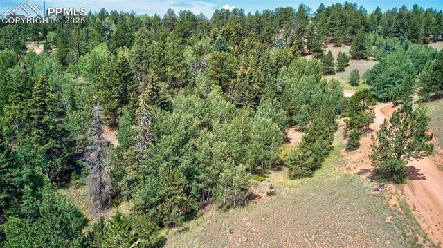 158 Rattler Court, Cripple Creek, CO 80813