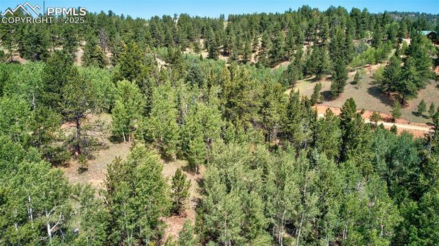 158 Rattler Court, Cripple Creek, CO 80813