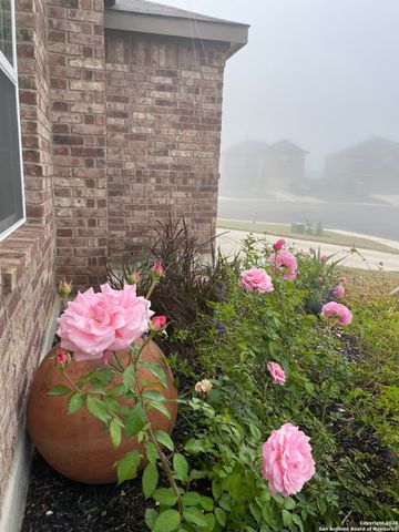 11742 Pelican Cove, San Antonio, TX 78221