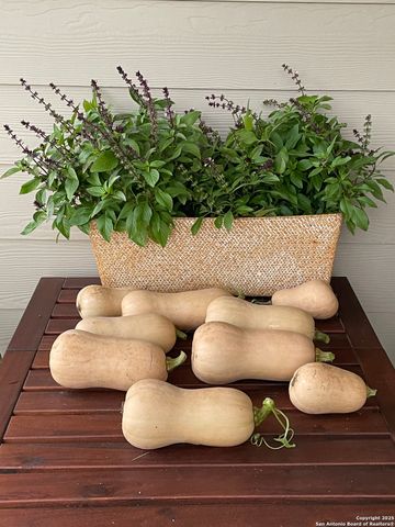 11742 Pelican Cove, San Antonio, TX 78221