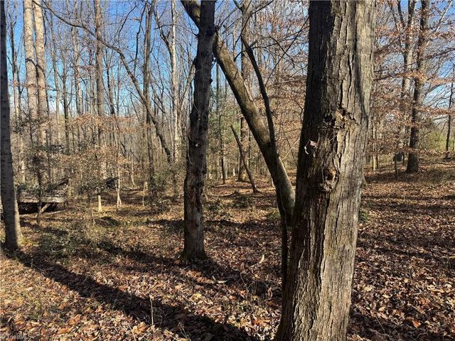 0 Mathis Mill Road, Roaring River, NC 28669