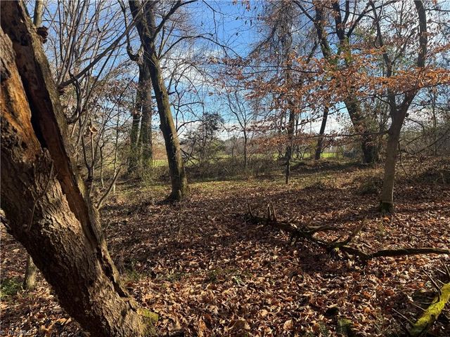 0 Mathis Mill Road, Roaring River, NC 28669