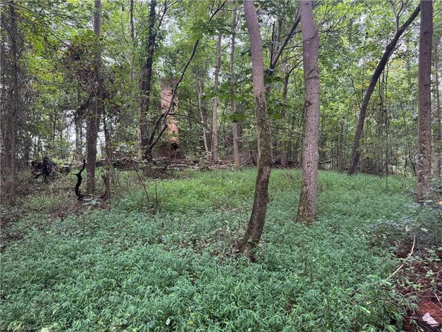 0 Mathis Mill Road, Roaring River, NC 28669