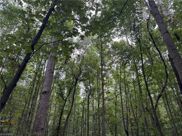 0 Mathis Mill Road, Roaring River, NC 28669