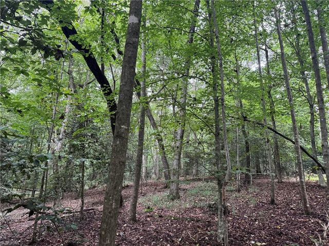 0 Mathis Mill Road, Roaring River, NC 28669