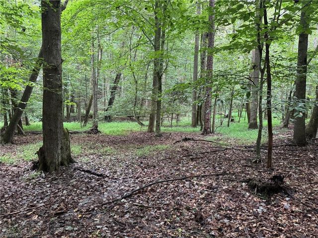 0 Mathis Mill Road, Roaring River, NC 28669