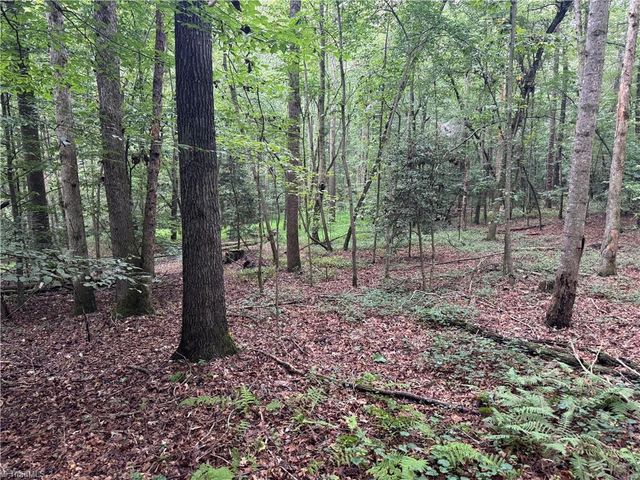 0 Mathis Mill Road, Roaring River, NC 28669