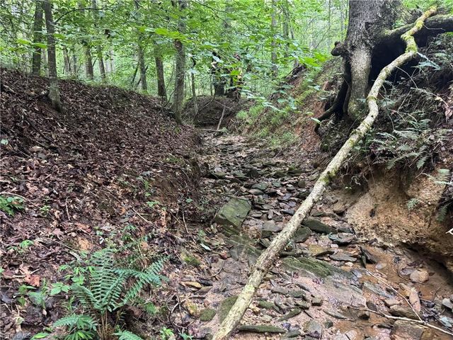 0 Mathis Mill Road, Roaring River, NC 28669