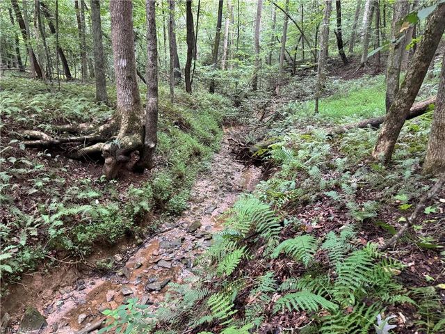 0 Mathis Mill Road, Roaring River, NC 28669