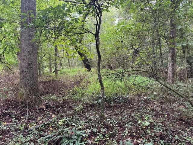 0 Mathis Mill Road, Roaring River, NC 28669