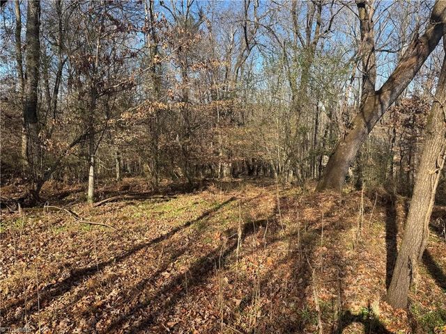 0 Mathis Mill Road, Roaring River, NC 28669