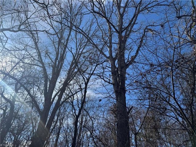 0 Mathis Mill Road, Roaring River, NC 28669