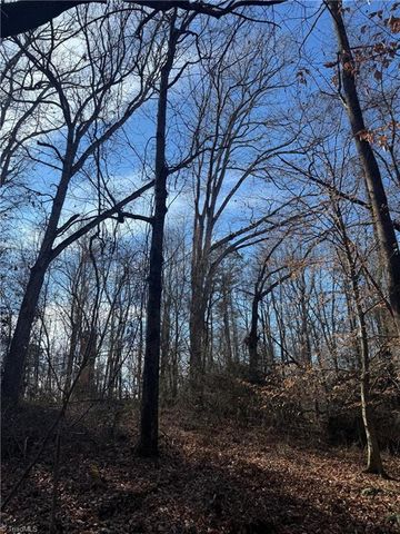 0 Mathis Mill Road, Roaring River, NC 28669