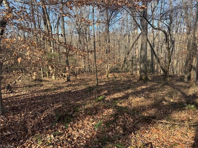 0 Mathis Mill Road, Roaring River, NC 28669