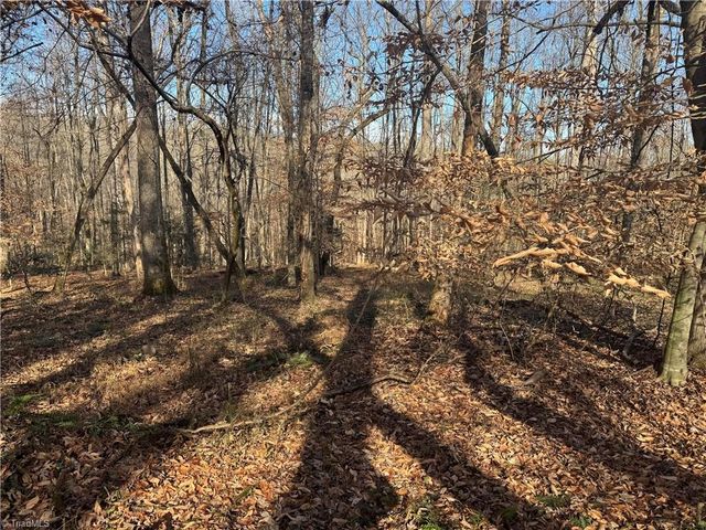 0 Mathis Mill Road, Roaring River, NC 28669