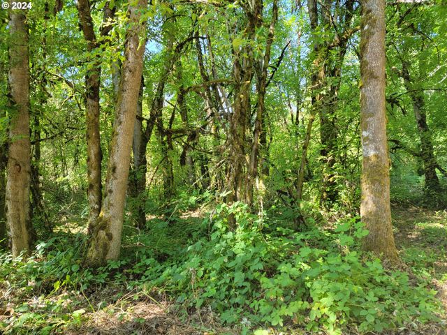 0 Adjacent Oak Grove Dr Nw, Albany, OR 97321