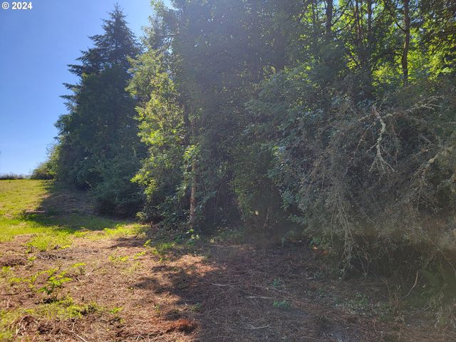 0 Adjacent Oak Grove Dr Nw, Albany, OR 97321