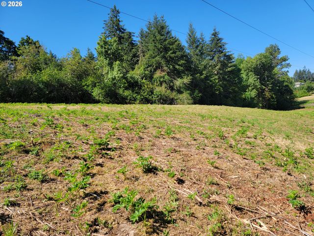 0 Adjacent Oak Grove Dr Nw, Albany, OR 97321