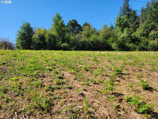 0 Adjacent Oak Grove Dr Nw, Albany, OR 97321