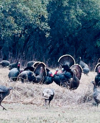 1015 County Road 134, Stephenville, TX 76401