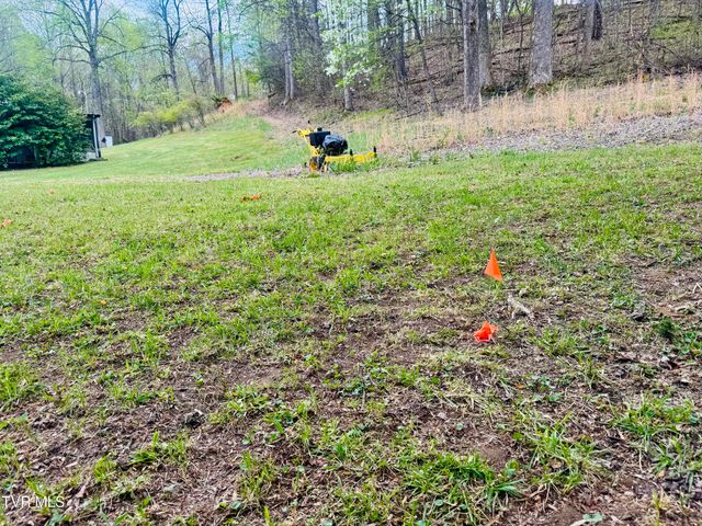 160 Bob S Hollow Road, Elizabethton, TN 37643