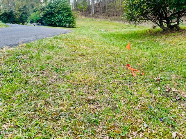 160 Bob S Hollow Road, Elizabethton, TN 37643