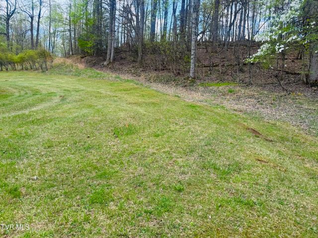 160 Bob S Hollow Road, Elizabethton, TN 37643