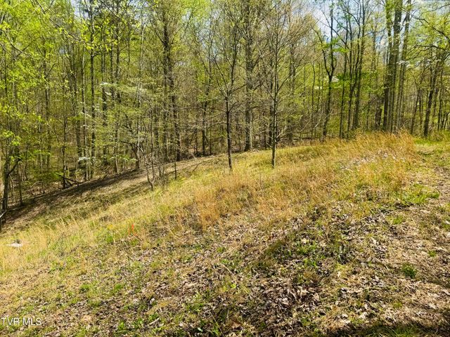 160 Bob S Hollow Road, Elizabethton, TN 37643