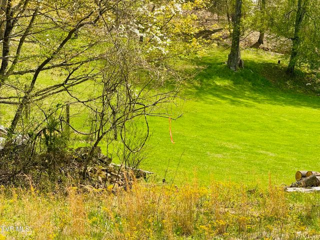 160 Bob S Hollow Road, Elizabethton, TN 37643