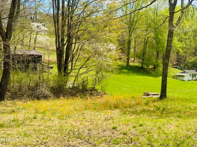 160 Bob S Hollow Road, Elizabethton, TN 37643