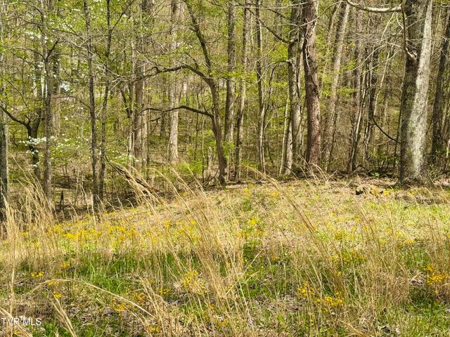 160 Bob S Hollow Road, Elizabethton, TN 37643