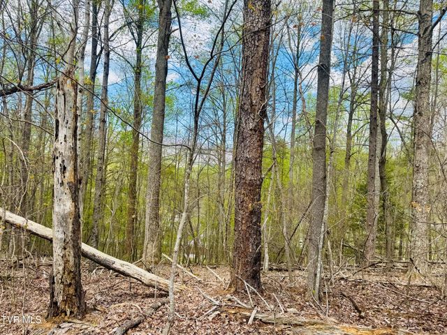 160 Bob S Hollow Road, Elizabethton, TN 37643