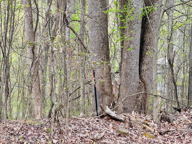 160 Bob S Hollow Road, Elizabethton, TN 37643