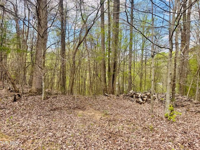 160 Bob S Hollow Road, Elizabethton, TN 37643