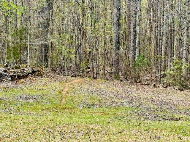 160 Bob S Hollow Road, Elizabethton, TN 37643