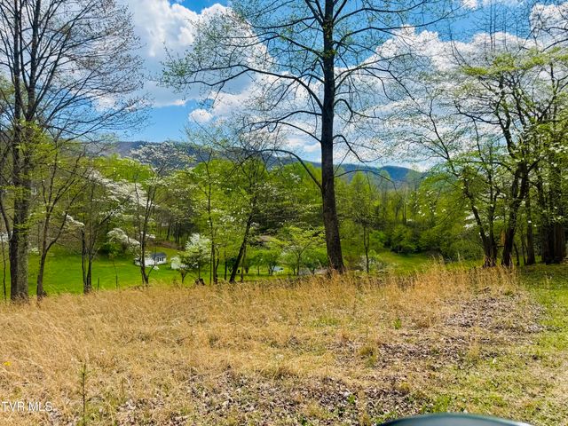 160 Bob S Hollow Road, Elizabethton, TN 37643